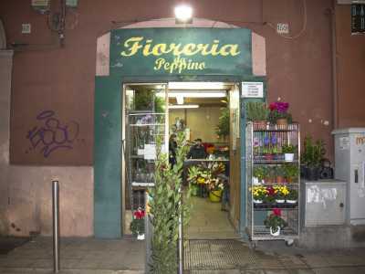 Rimaniamo sempre nel quartiere Libert� e ci spostiamo in via Quintino Sella: ad angolo con via Nicolai � infatti presente la Fioreria Da Peppino